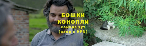 гидра Каменка