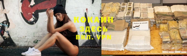 индика Касимов
