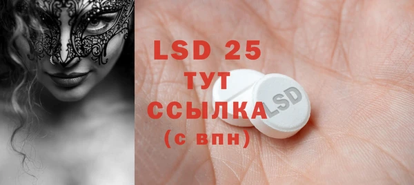 индика Касимов