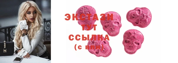 индика Касимов