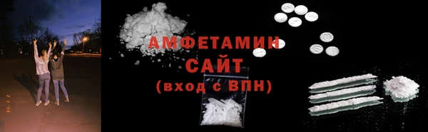 индика Касимов