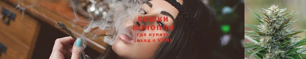 тгк Карпинск