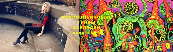 индика Касимов