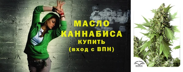 индика Касимов