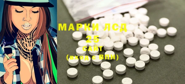 индика Касимов