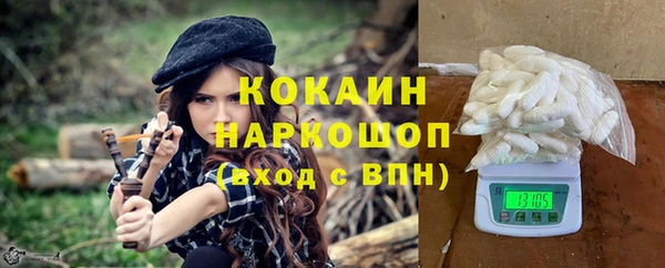 индика Касимов