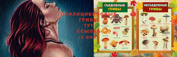 дживик Карталы
